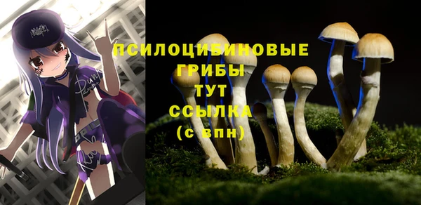 первитин Абинск
